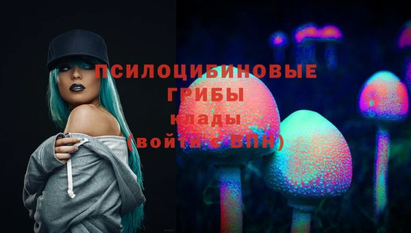 ALPHA PVP Белокуриха